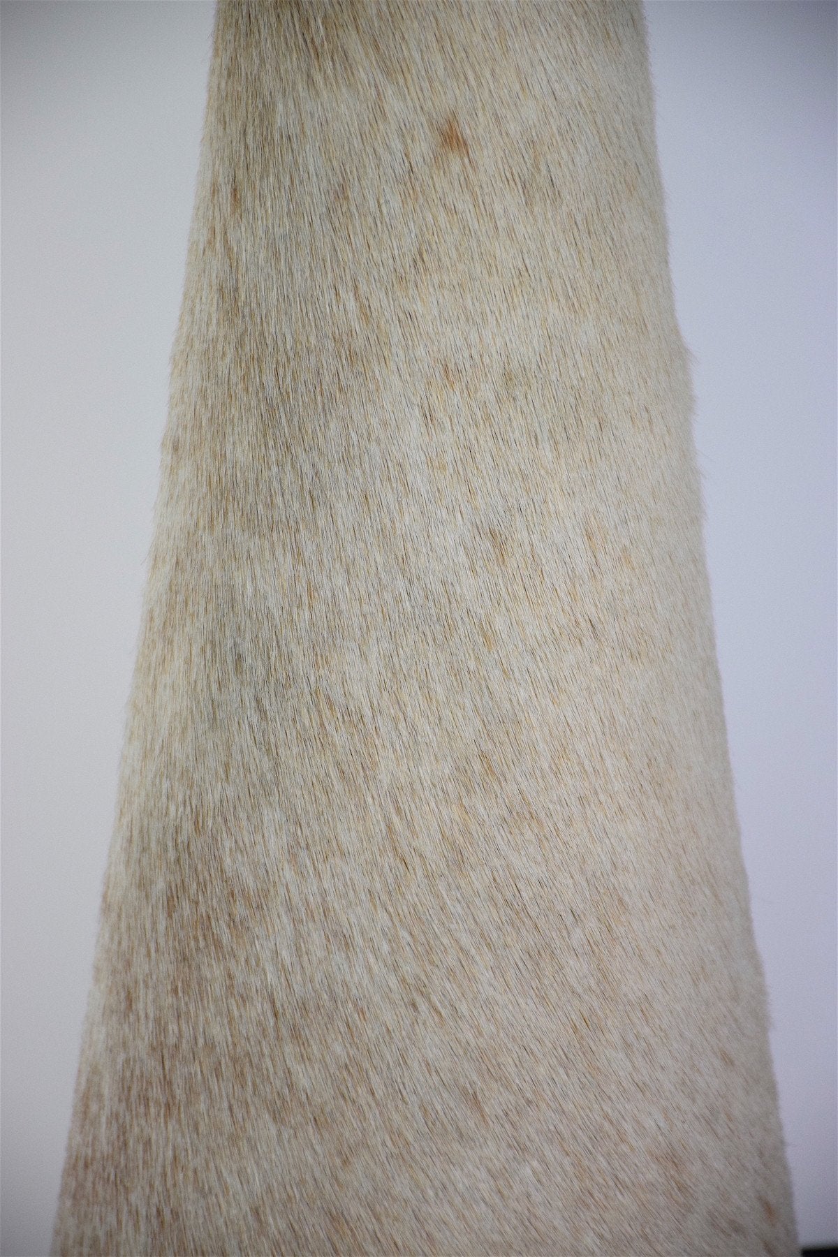 Coconut Lamp by Pucci de Rossi, France, 1980's - Spirit Gallery 